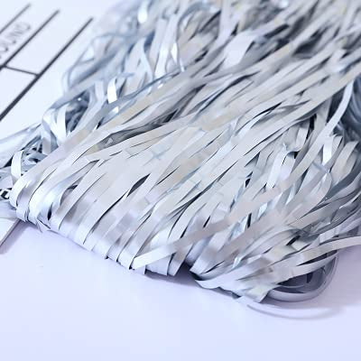 Metallic Party Foil Curtain