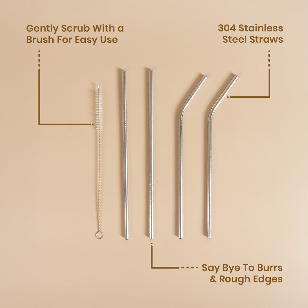 Stainless Steel Straw Set of 5pc