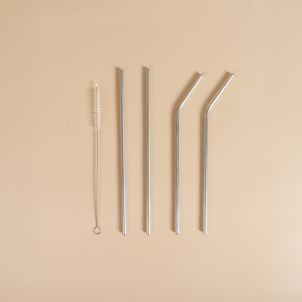 Stainless Steel Straw Set of 5pc