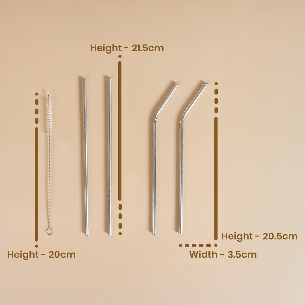 Stainless Steel Straw Set of 5pc