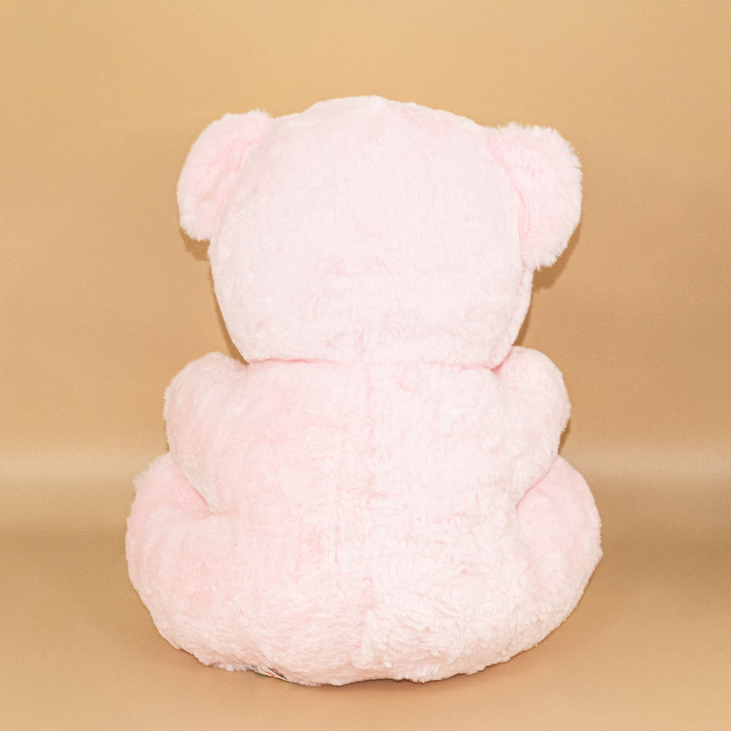 Pink Teddy Bear with Pink  Bow – Set of 1